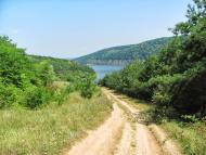 Рогізна - Останні фото