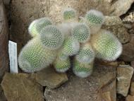 Нікіта з panoramio.com (ч.2)