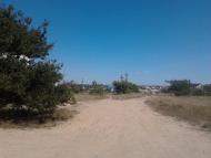 Чорноморське - Останні фото