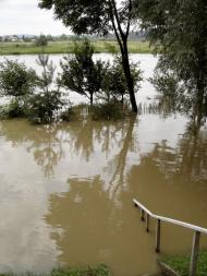 Циків з panoramio.com