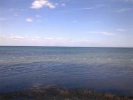 Заозерное - Последние фото