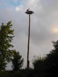 Поділ - Останні фото