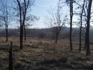 Краснодон - Последние фото