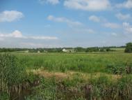 Ильичовское - Последние фото