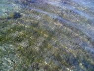 Сніжне - Останні фото