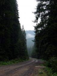 Говерла з panoramio.com (ч.2)