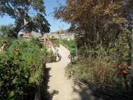 Судак з panoramio.com (ч.5)