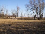 Миколаївське з panoramio.com