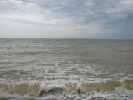 Новопетрівка - Останні фото