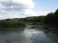 Лушники з panoramio.com