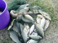 Якимівське - Останні фото