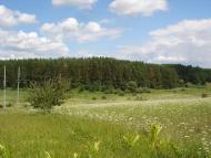 Музичі з panoramio.com