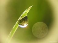 Звози з panoramio.com