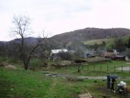 Мирча - Останні фото