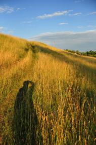 Свірж з panoramio.com