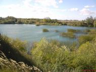 Острівок з panoramio.com