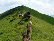 Кічерний з panoramio.com