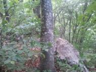 Охотниче з panoramio.com (ч.3)