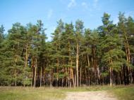 Косарі з panoramio.com (ч.2)