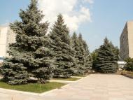 Костянтинівка - Останні фото