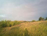 Новоамвросіївське з panoramio.com