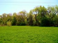 Гудзівка - Останні фото