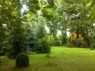 Розівка з panoramio.com (ч.2)