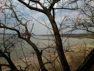 Суворове з panoramio.com