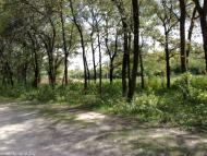 Матвіївка - Останні фото