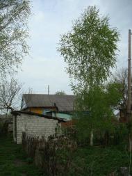 Дроздні з panoramio.com