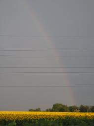 Ленінське з panoramio.com