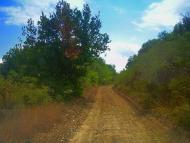 Синапне з panoramio.com