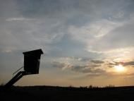 Степне з panoramio.com