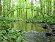 Бучмани з panoramio.com