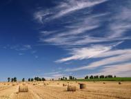 Трушевичі з panoramio.com