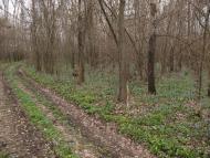 Балаклія - Останні фото