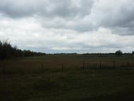 Сошники - Останні фото