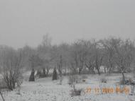 Новий Розділ з panoramio.com