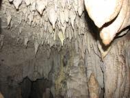 Колхозне з panoramio.com