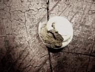 Розівка з panoramio.com (ч.2)