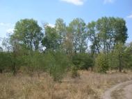 Синюхин Брод - Последние фото