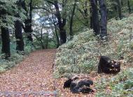 ВУЛИЦЯМИ СТАРОГО МІСТА