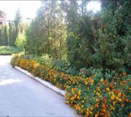 Новошляхівська ЗОШ