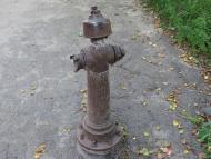 СВЯТКОВА ПОДОРОЖ НА ПАРОВОЗІ 