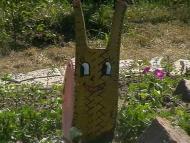 Новошляхівська ЗОШ