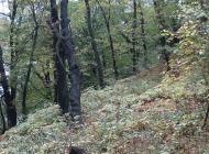 ВУЛИЦЯМИ СТАРОГО МІСТА