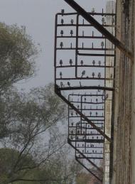 МІСТ АВСТРО-УГОРСЬКИХ ЧАСІВ