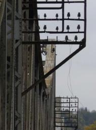 МІСТ АВСТРО-УГОРСЬКИХ ЧАСІВ