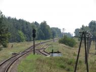 СВЯТКОВА ПОДОРОЖ НА ПАРОВОЗІ 