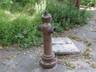 СВЯТКОВА ПОДОРОЖ НА ПАРОВОЗІ 